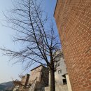 큰나무주유소 이미지