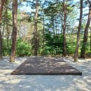 솔바다캠핑장 이미지