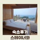 스테이너와 | 스테이너와::자연 속 진짜 쉼, 울릉도 펜션숙소 강력 추천! 울릉국화 2박 솔직 후기 정리