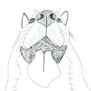 이민호농가 이미지