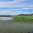 고구낚시터 이미지