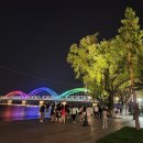 나무이야기 - 서귀포시 남태해안로 11-5 | 나무이야기