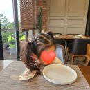 레인보우 힐링센터 이미지