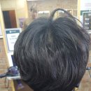 멋쟁이 헤어 이미지