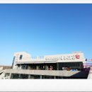 최씨고집 이미지