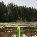 내몸속명의발건광관리 | 걷기 명상(Walking Meditation) 해보기 – 바쁜 일상 속 나를 위한 작은 쉼표