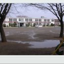 선진초등학교 이미지