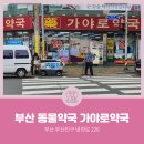 가야로약국 이미지