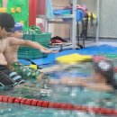 오션차일드 | 평택수영장 비전동 어린이 수영학원 재미있게 배우는 오션차일드