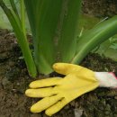 대왕농장 이미지