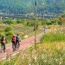 샘재로 2 이미지