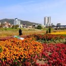 아름다운도시행복한도 이미지