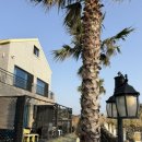 제주 서귀포 벨루아 이미지