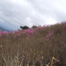 080417 지리산권 [3] 지리산 휴게소 이미지