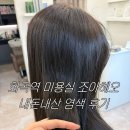 조아쥬스 | 화곡역 미용실 조아헤오 내돈내산 염색 후기(로하 실장님)