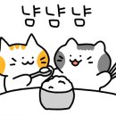 백양돌곱창구이 네이버블로그