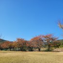 칠포오토캠핑장