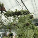 삼익농원 이미지