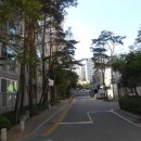 서구-01-103 이미지
