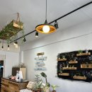 비빔사계 이미지