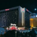 홍도치안센터 건너편 | 라스베가스 플라밍고호텔 하이롤러뷰 숙박 후기! 리조트피/수영장/짐보관 꿀팁