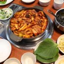 조가네갑오징어 이미지