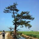 놀멍올레