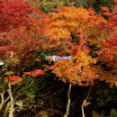 평창동강로 이미지