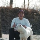 모터파크 이미지