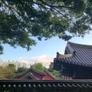 화지청소년문화회관 | [등산] 부산 화지산 (화지공원 - 화지사 - 배롱나무 - 화지청소년문화회관)
