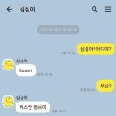 상당히 과격해진 심심이 이미지