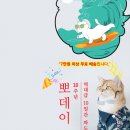 뽀데이 이미지