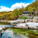 상하작은도서관 | 🍁 단풍 면역력 힐링 여행! 숨겨진 단풍 명소, 몸과 마음 치유하는 코스