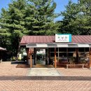 경북 문경 가볼만한 곳 ‘철로자전거(레일바이크) 진남역’ 4살 아이와 탑승한 후기(+ 전 구간 전동)
