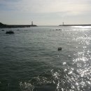 대변항2 이미지