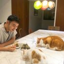 원경천 카카오 검색결과