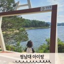 청남대 아이랑 나들이 후기 세종근교 청주 가족 여행지 추천