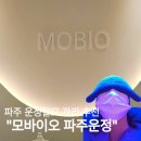 219-운정3-219 | [파주 운정] 탈모 관리 모바이오 파주운정점 두피스케일링 후기