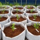 환의농장 이미지