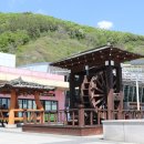 영천농부
