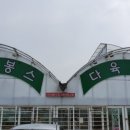 다봉스다육
