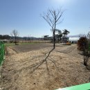 베일리하우스애견펜션 이미지