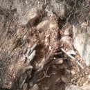 선림사 뒤쪽 배드민턴장 옆 체육공원 1급 발암물질 석면이 도처에 깔려 있습니다.(사진 첨부) 이미지