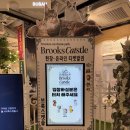 브룩스캣슬 이미지