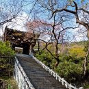 부암3동-16 | 신라의 화랑들이 수련했다는... 백양산 선암사