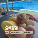 전주 삼천동 과일 가게 오색청과 I 과일, 채소, 계란까지 한 번에 장보기