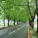 청주가로수길 이미지