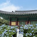 6월 비오는날 여름제주2박3일 청량드라마 재질 우정여행코스 가볼만한곳