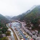 산꽃미술관 이미지