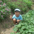 시립월영어린이집 이미지